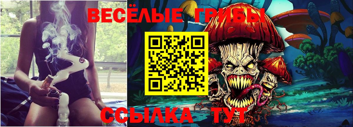 Псилоцибиновые грибы Psilocybine cubensis Аргун