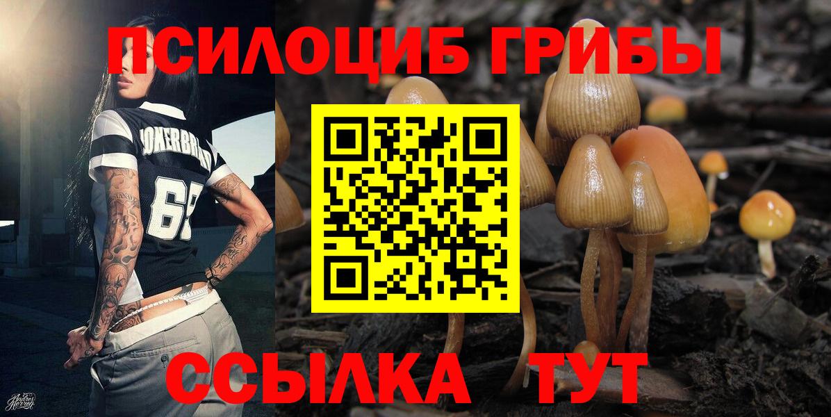 Галлюциногенные грибы GOLDEN TEACHER  Аргун 