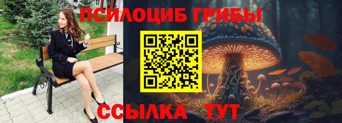 Галлюциногенные грибы GOLDEN TEACHER Аргун